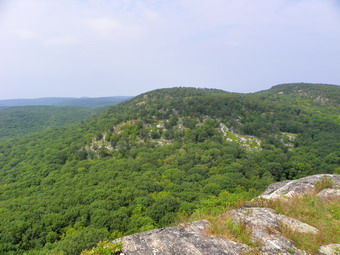 picture taken during a hike