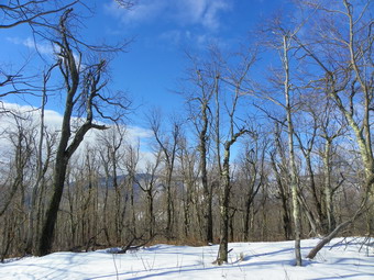 picture taken during a hike