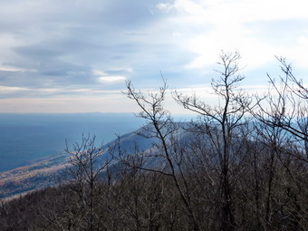 picture taken during a hike