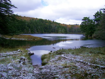 picture taken during a hike