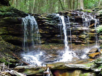 picture taken during a hike