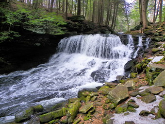 picture taken during a hike