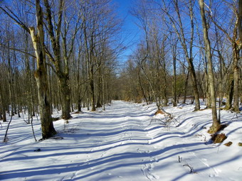 picture taken during a hike