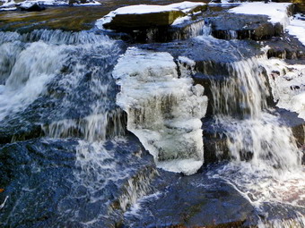 picture taken during a hike