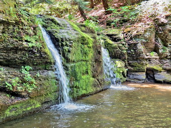 picture taken during a hike