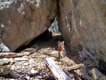 picture taken during a hike