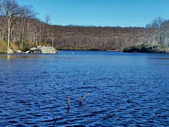 picture taken during a hike