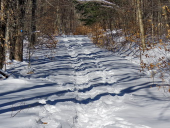 picture taken during a hike