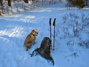 picture taken during a hike