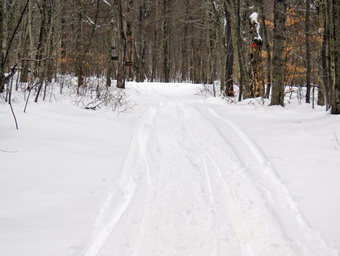 picture taken during a hike