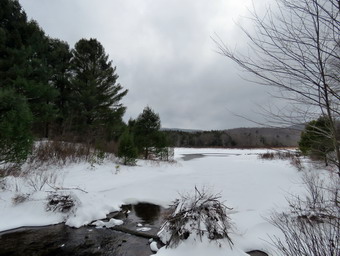 picture taken during a hike