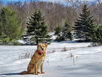 picture taken during a hike