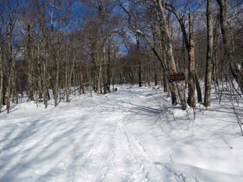 picture taken during a hike