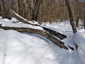 picture taken during a hike