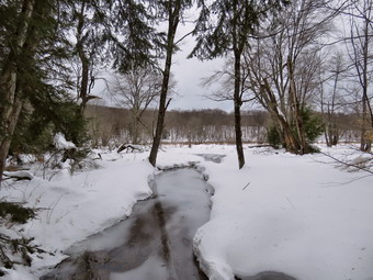 picture taken during a hike