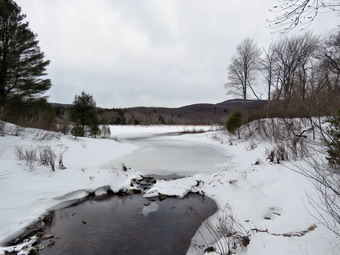 picture taken during a hike