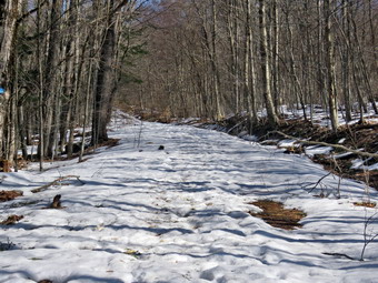 picture taken during a hike