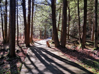 picture taken during a hike