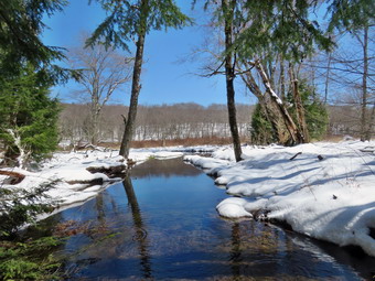 picture taken during a hike