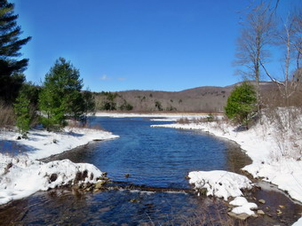 picture taken during a hike