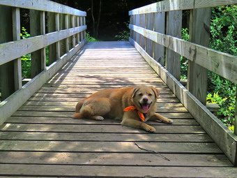 picture taken during a hike