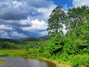 picture taken during a hike