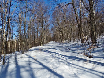 picture taken during a hike