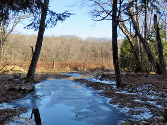 picture taken during a hike