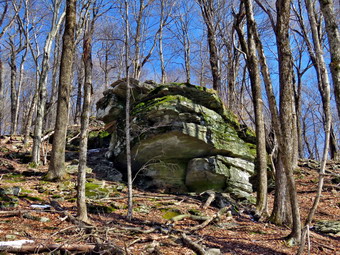 picture taken during a hike