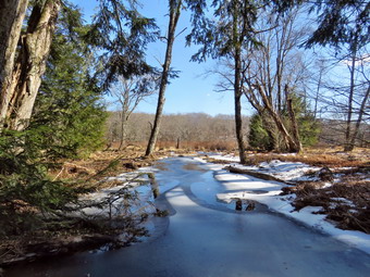 picture taken during a hike