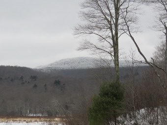 picture taken during a hike