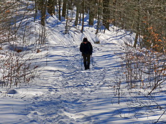 picture taken during a hike