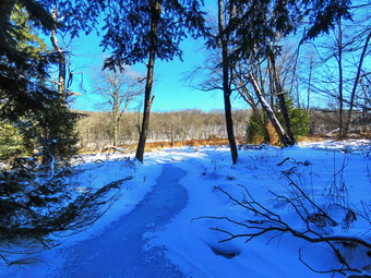 picture taken during a hike