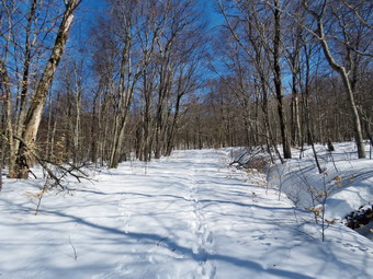 picture taken during a hike