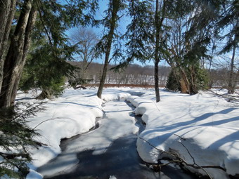 picture taken during a hike