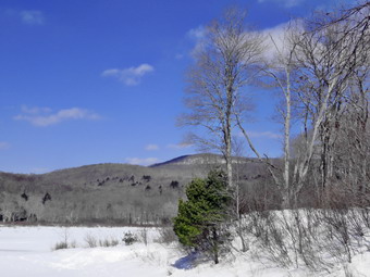 picture taken during a hike