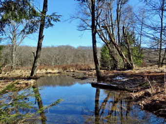 picture taken during a hike