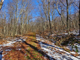 picture taken during a hike