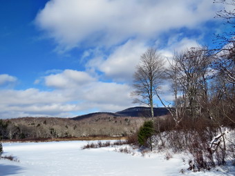 picture taken during a hike