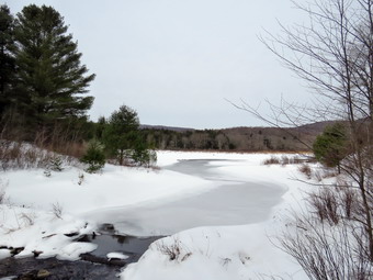 picture taken during a hike