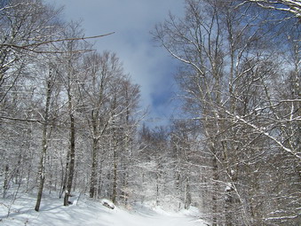 picture taken during a hike