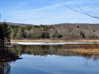 picture taken during a hike