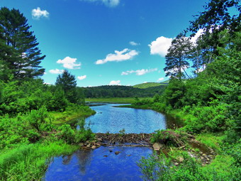 picture taken during a hike