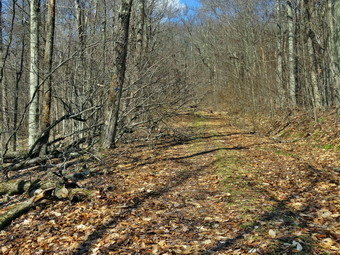 picture taken during a hike