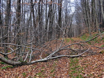 picture taken during a hike