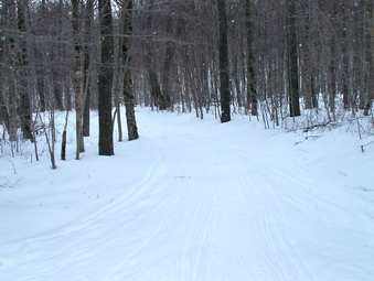 picture taken during a hike