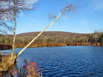 picture taken during a hike