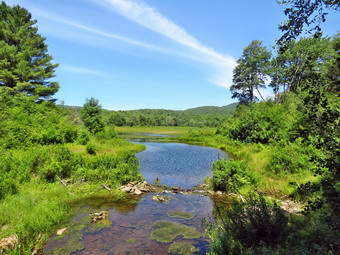 picture taken during a hike