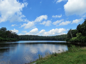 picture taken during a hike