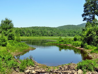 picture taken during a hike